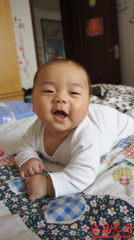 宏福苑明星宝宝小起