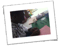image030.gif