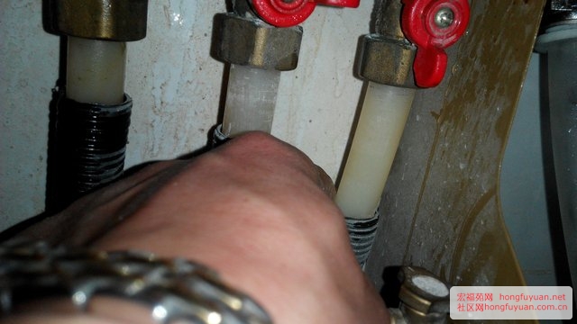 n_s12531881760787851127.jpg