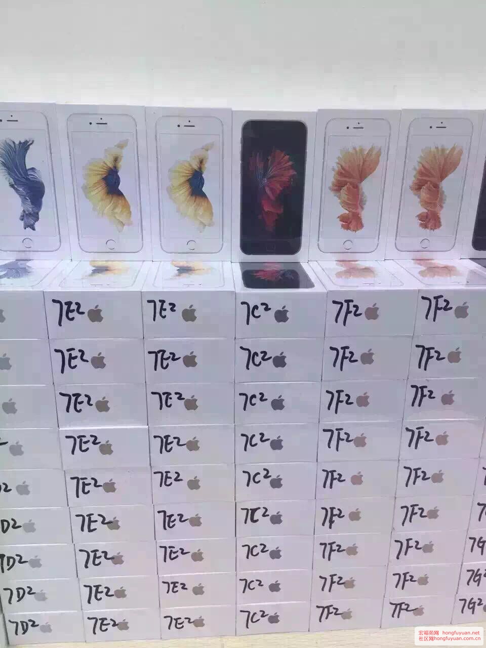 653908975345967097.jpg