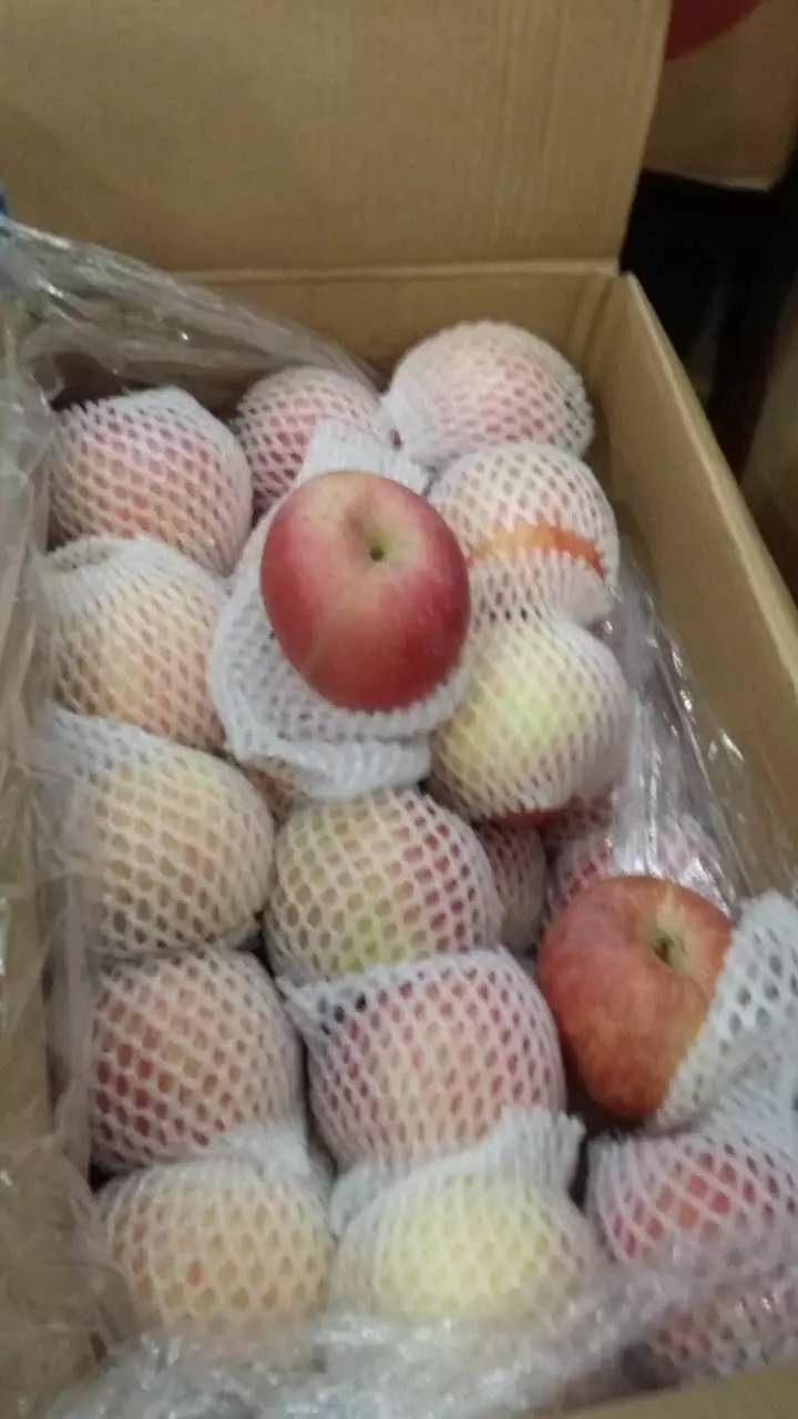 地址：水城广场一层进口食品之家  电话：13811...