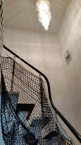 20160717_221620.jpg