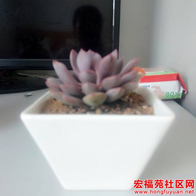 104623j3lr715blb8x53wu.jpg