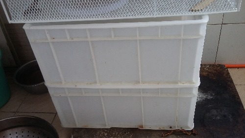 20160911_120231.jpg