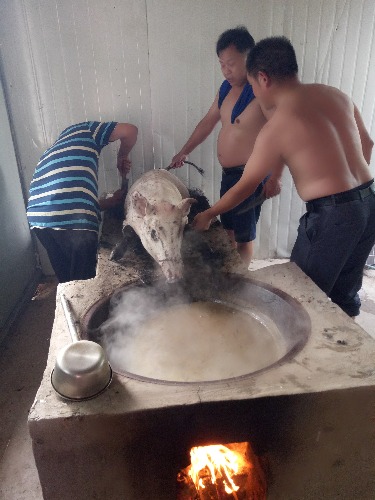 IMG20160707145525.jpg