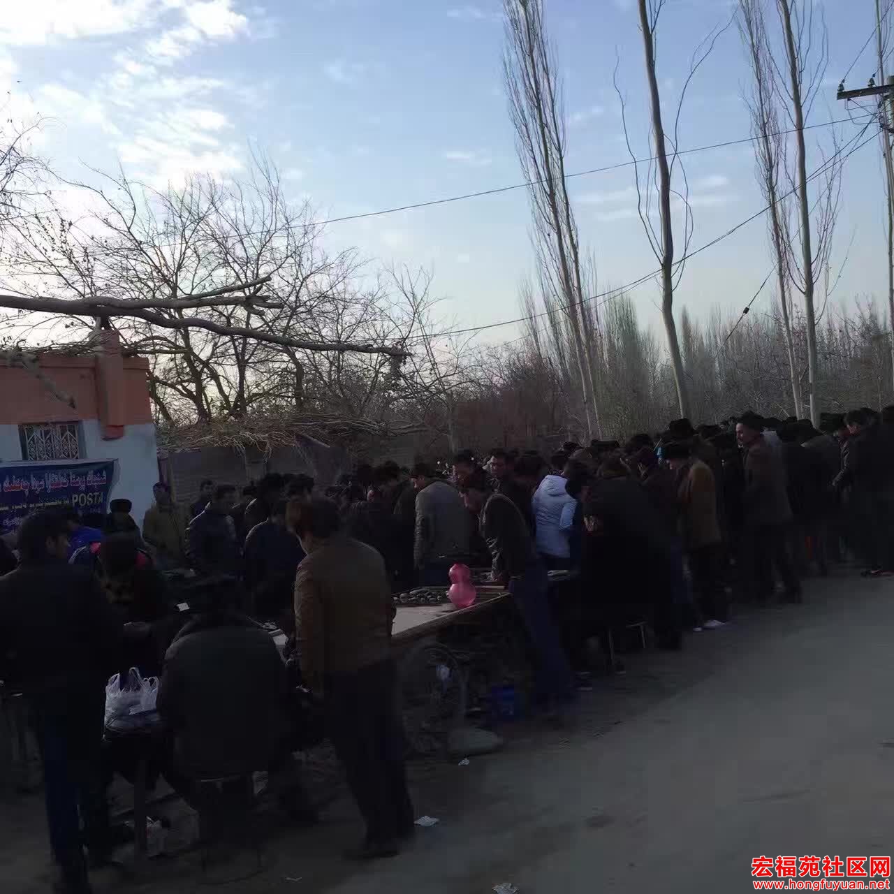 QQ图片20161222083519.jpg