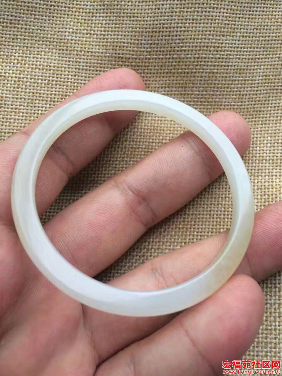 QQ图片20170203170203.jpg