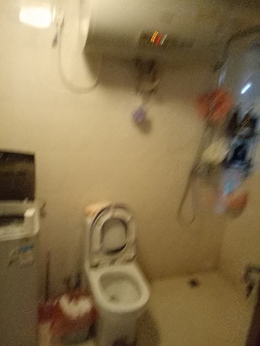 image.jpeg