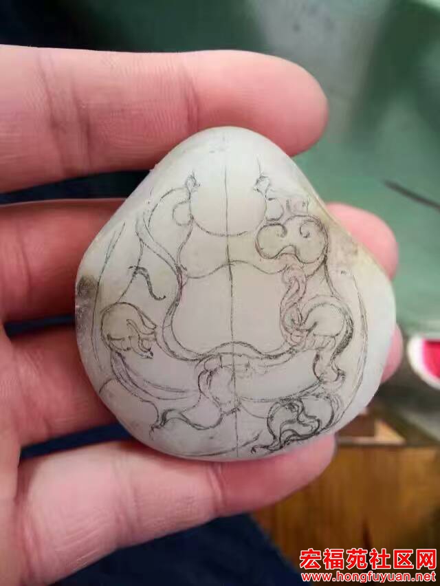 QQ图片20170228092823.jpg