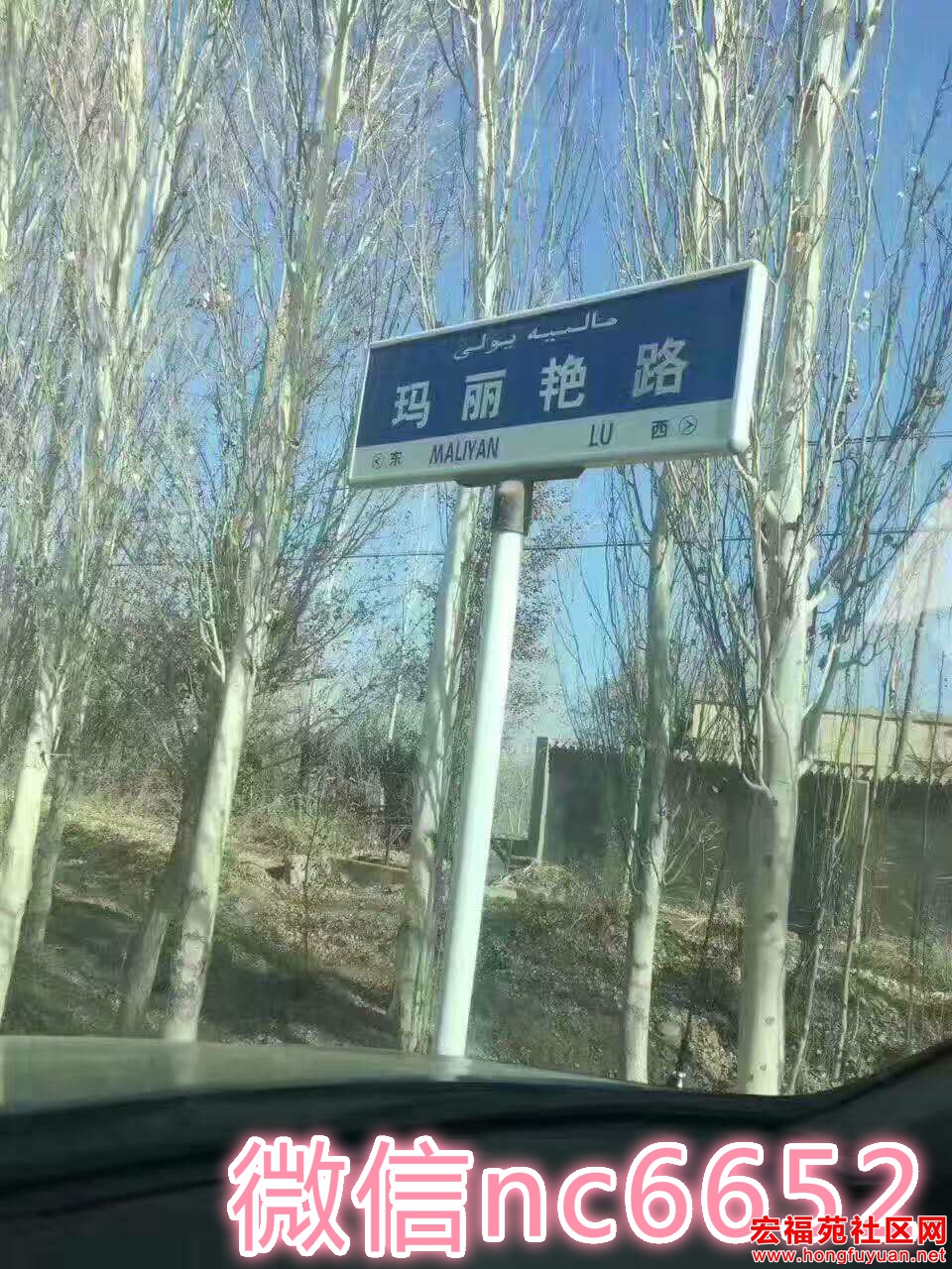01.jpg