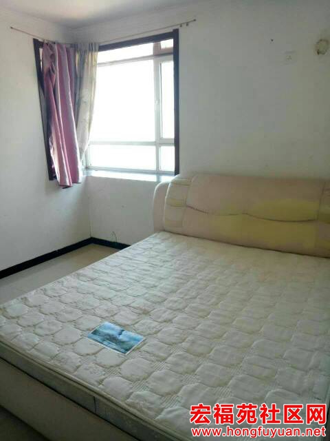 173455lu3erdjerh37502p.jpg