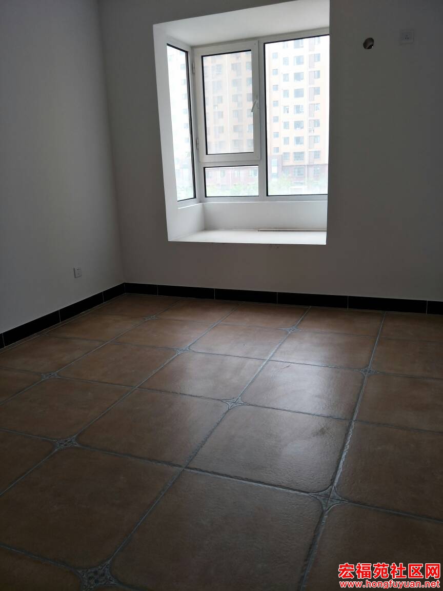 101012olerh994ksmzkf96.jpg