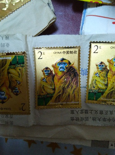 1492579791007.jpg