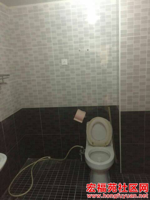 095249ed8zqfhi88dh9f5f.jpg