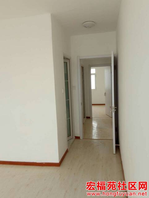 104256esm1illumvzmguv0.jpg