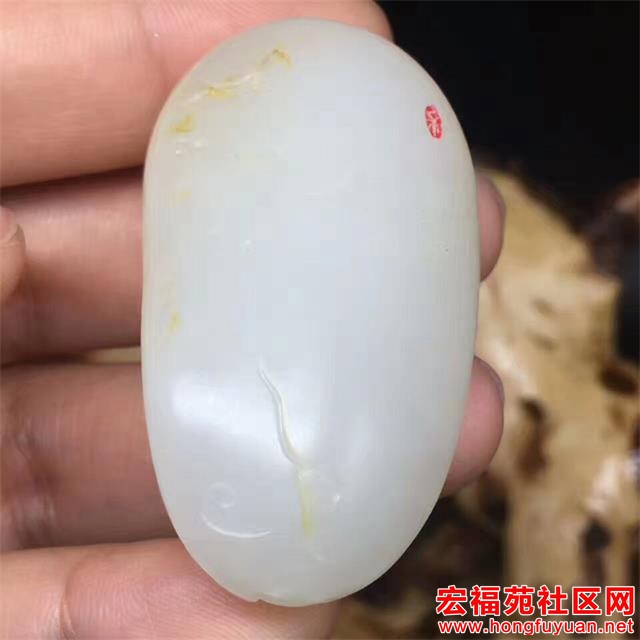 QQ图片20170510085517.jpg