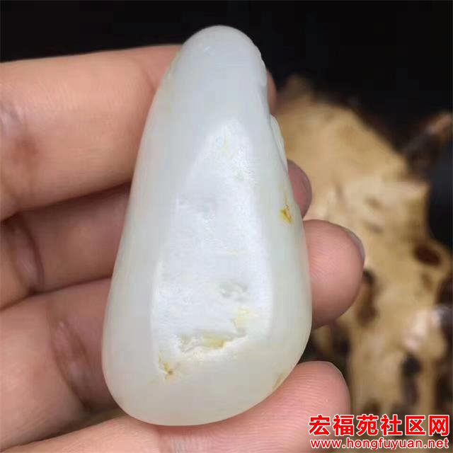 QQ图片20170510085528.jpg