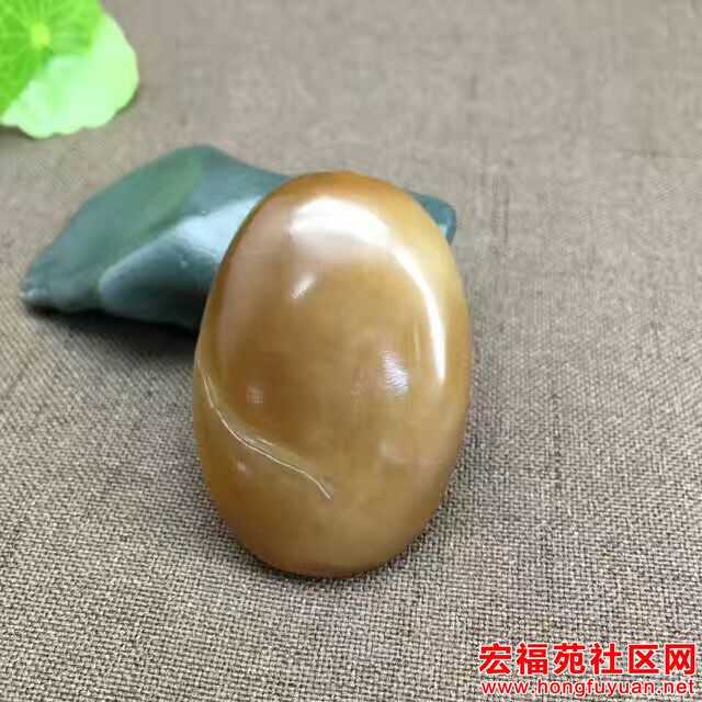 QQ图片20170728090835.jpg