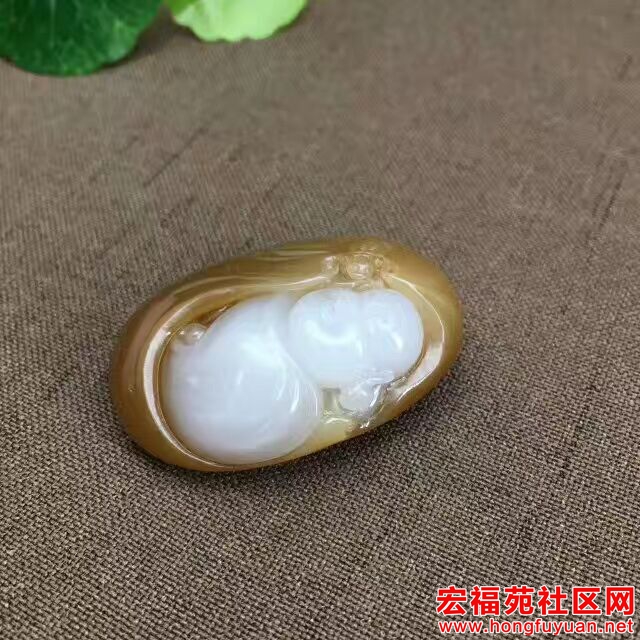 QQ图片20170728090832.jpg