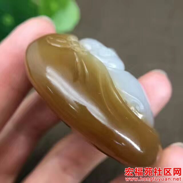 QQ图片20170728090826.jpg