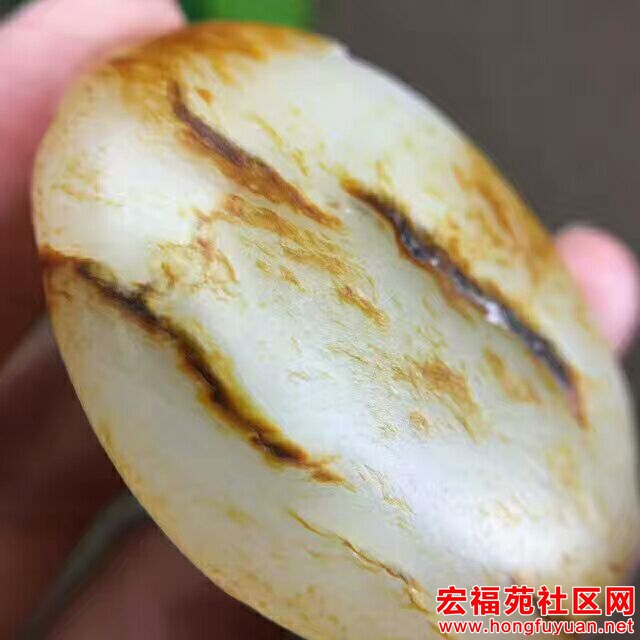 QQ图片20170807162011.jpg