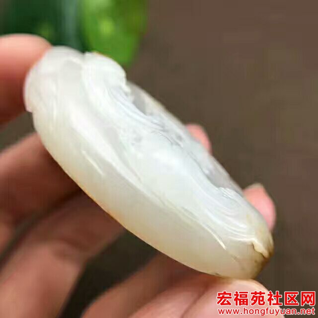 QQ图片20170807162014.jpg