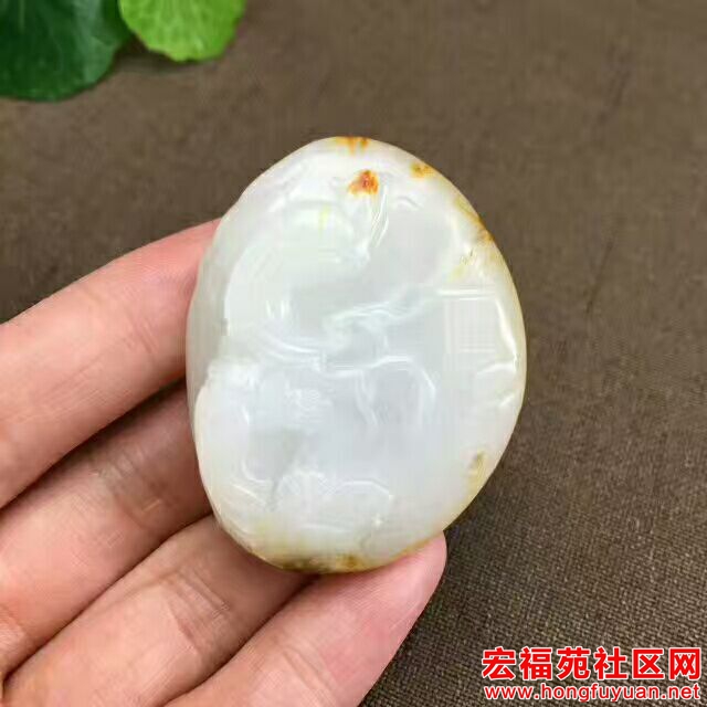 QQ图片20170807162019.jpg