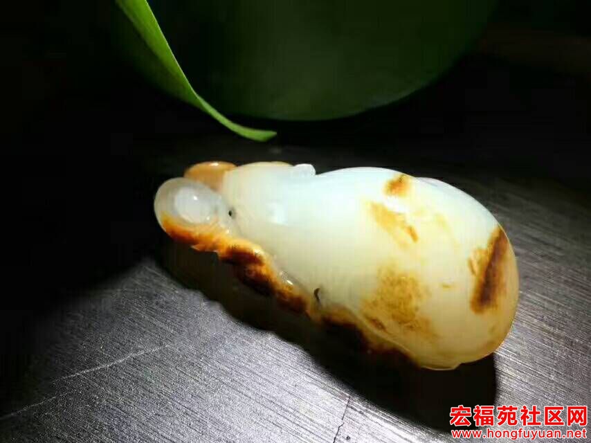 QQ图片20170809090212.jpg