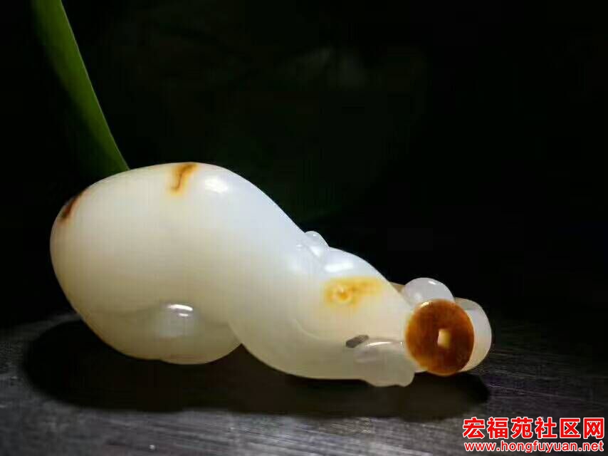 QQ图片20170809090215.jpg