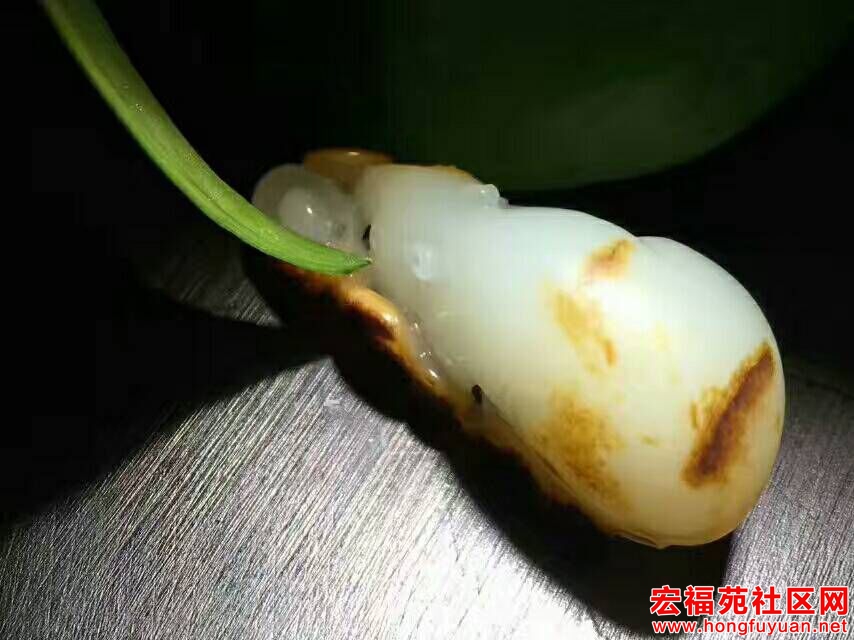 QQ图片20170809090227.jpg