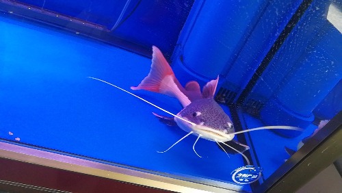 wx_camera_1514268503630.jpg