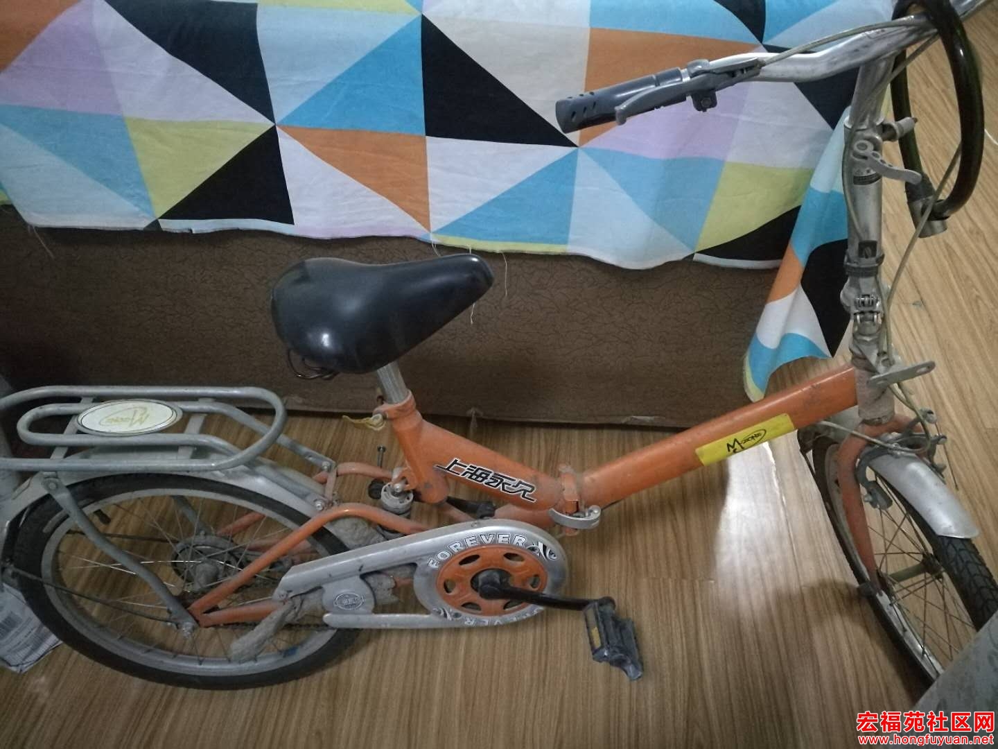 自行车1.jpg