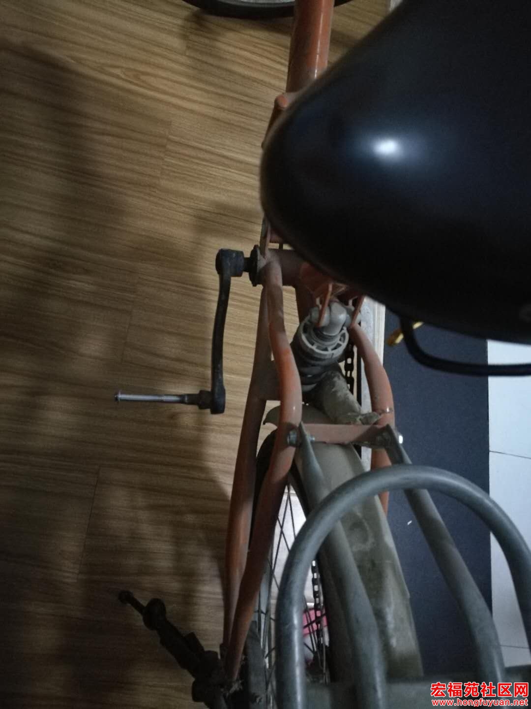 自行车2.jpg