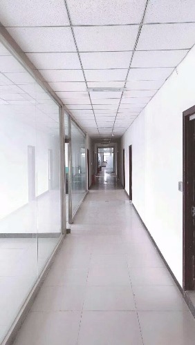 mmexport1521689473126.jpg