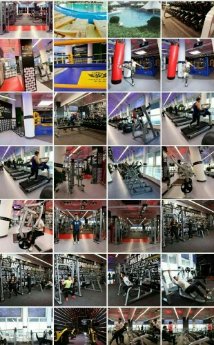 mmexport1520405954798.jpg