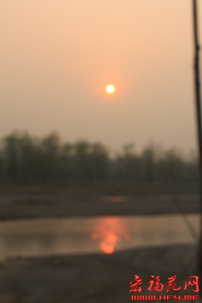 IMG_7603.JPG