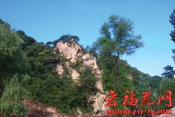 双龙山森林公园