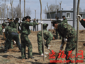  军民携手共建绿色家园