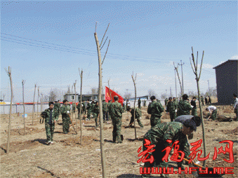  军民携手共建绿色家园