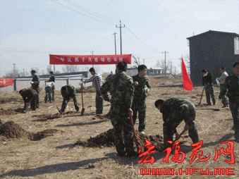  军民携手共建绿色家园