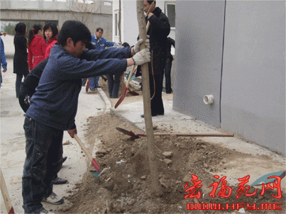 宏福苑物业组织各职能部门开展了春季植树活动