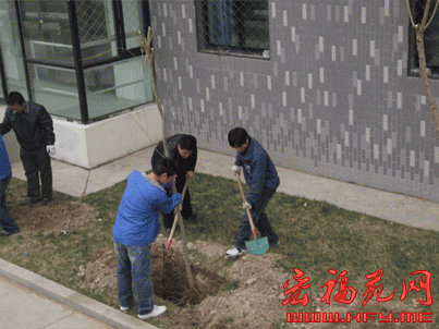 宏福苑物业组织各职能部门开展了春季植树活动