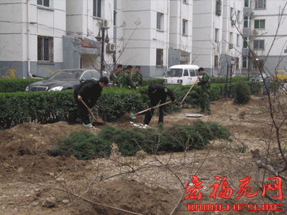 宏福苑物业组织各职能部门开展了春季植树活动