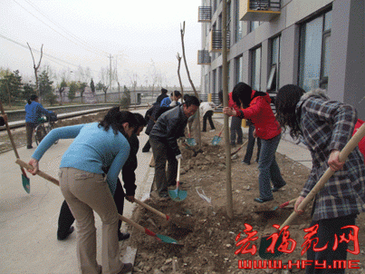 宏福苑物业组织各职能部门开展了春季植树活动