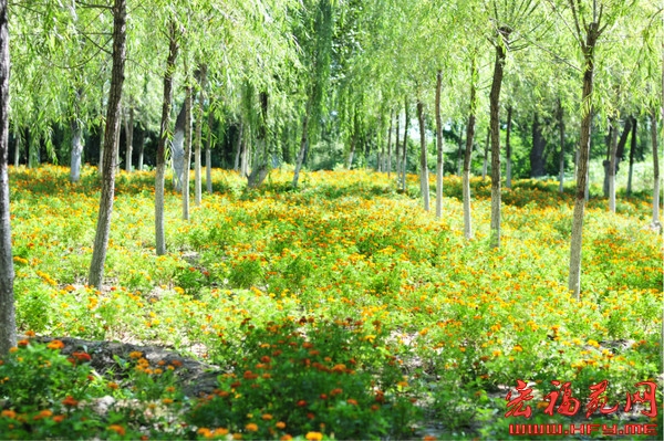 “翠明湖”的缘由和文化