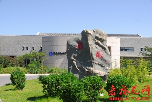 飞龙石