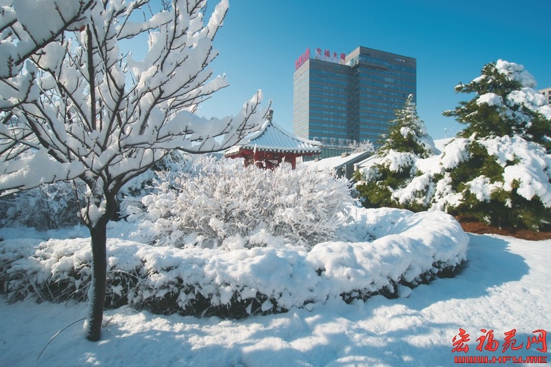 温都水城2013丽的春雪