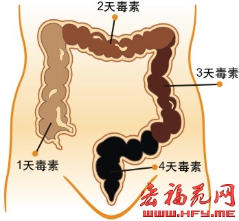 教你如何清肠，教你早晨清肠、除口臭、色斑、大肚腩