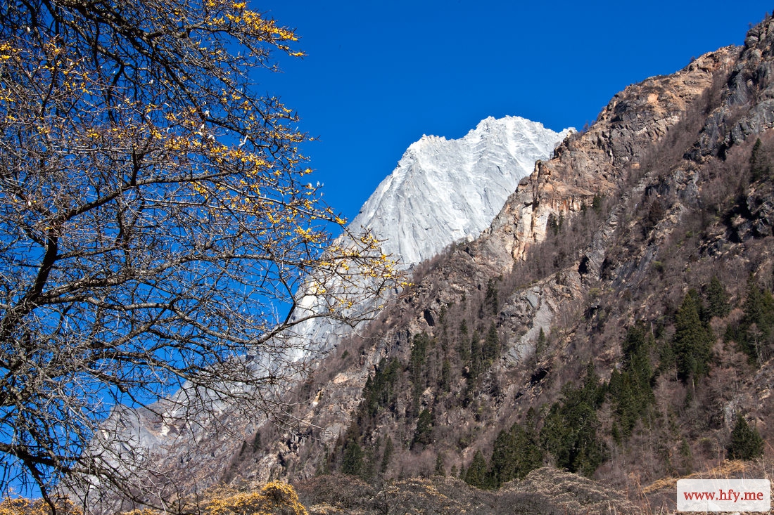 四姑娘山 (12).jpg