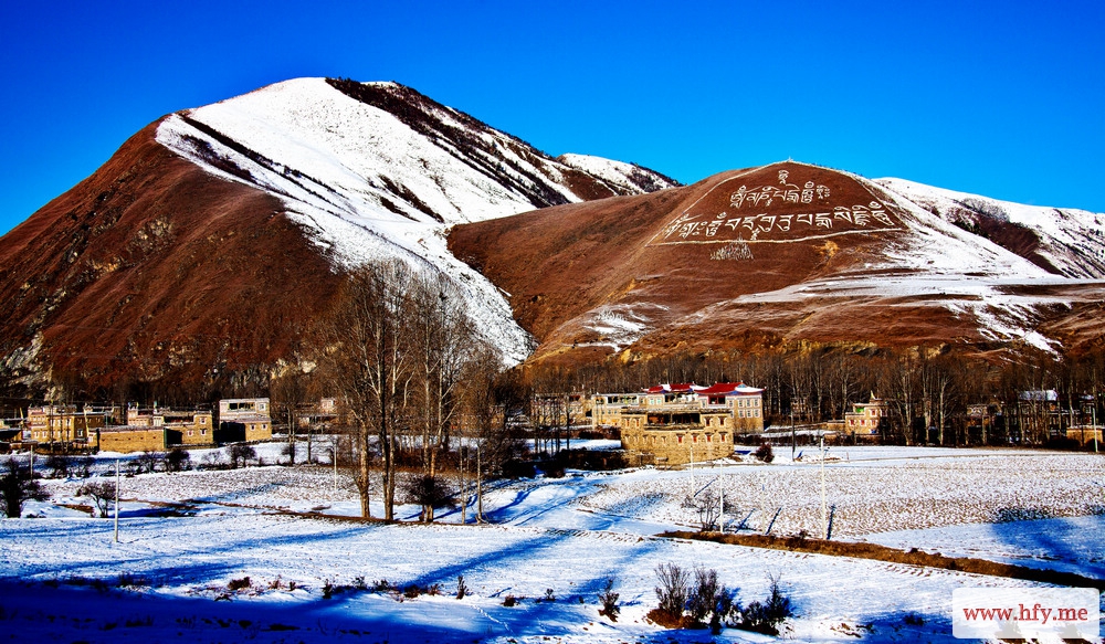 nEO_IMG_nEO_IMG_2000新都桥 (22).jpg